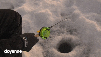 doyenne winter ice waiting fishing GIF
