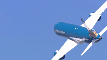 Vietnam Airlines Airplane GIF by Safran