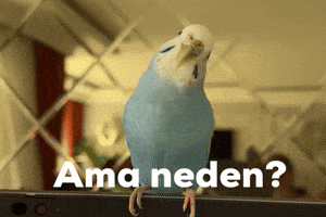 Lütfen GIF