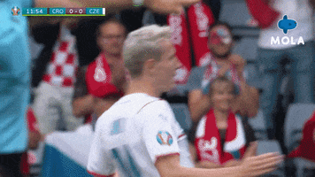 Euro 2020 Reaction GIF by MolaTV
