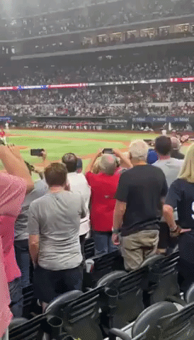 Aaron-judge-fans GIFs - Get the best GIF on GIPHY