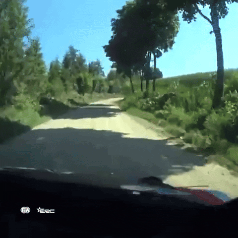 Driving On Board GIF by FIA European Rally Championship