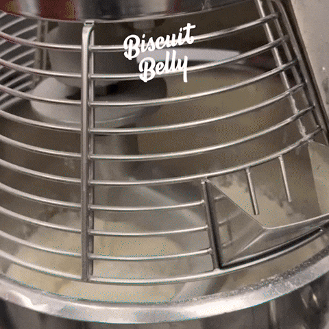 GIF by Biscuit Belly