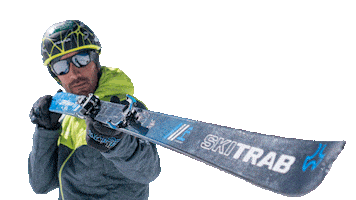 SKI TRAB Sticker