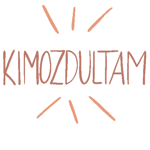 Green Guide Budapest Sticker