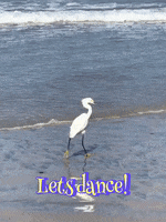 200.gif
