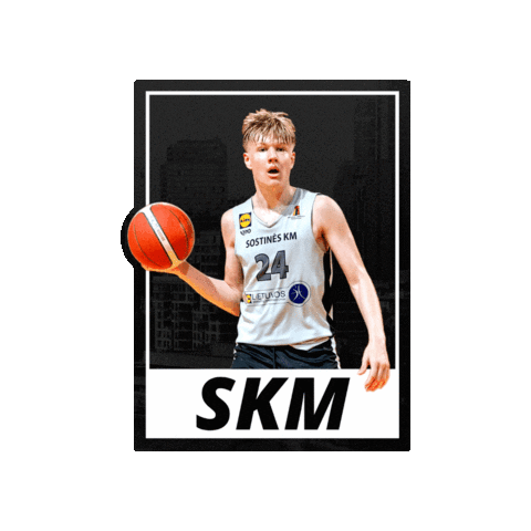 Basketball Lithuania Sticker by SKM Vilnius
