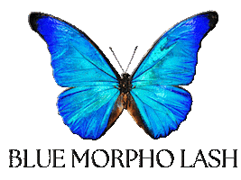 Blue Morpho Lash Sticker