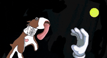 Koila GIF