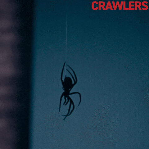 Spider GIF by Roadside Attractions