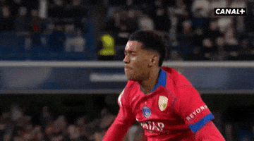 Champions League Passion GIF