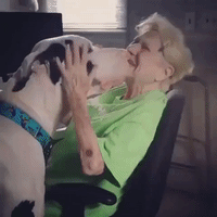 Great Dane and 90-Year-Old Woman Share Close Bond