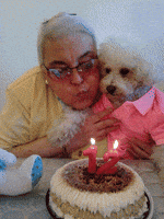 200.gif?cid=fc005b085000633b130082b0a436edfa2479a2bf9bf23d67&rid=200.gif&ct=g