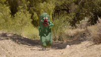 pickle run