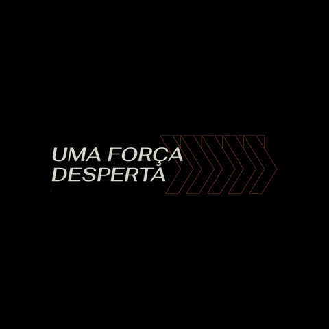 Stein Investimentos Imobiliários GIF