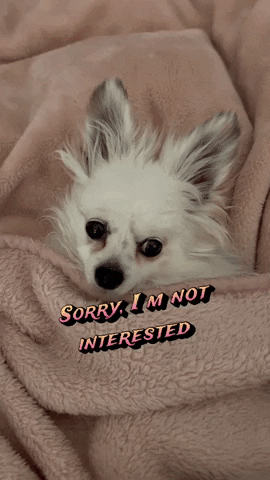 Sorry Not Sorry Dog GIF by Romeo Mama Online Store