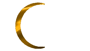 Gishe Sticker by gisheemirgan