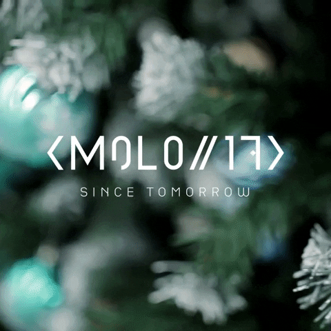 Christmas Holiday GIF by MOLO//17