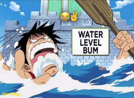 One Piece Water GIF