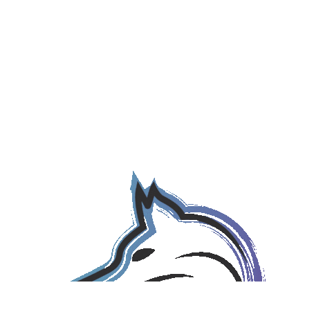 HBK SOFTWARE LTD Sticker