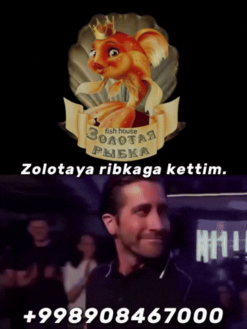 Cafe Fish GIF