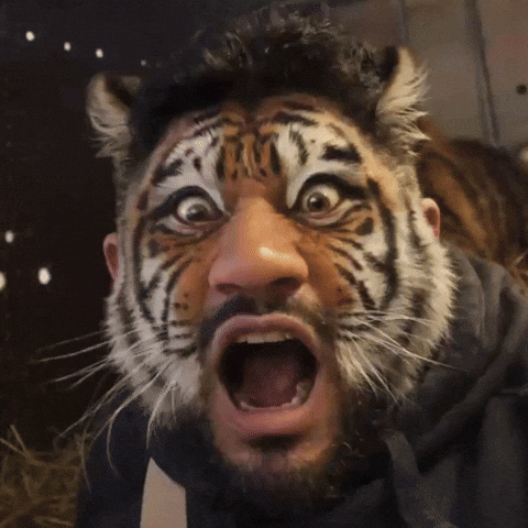 No Way Omg GIF