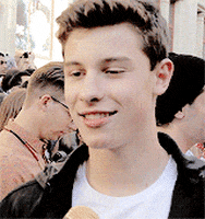 shawn mendes GIF