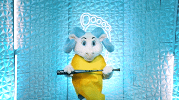 Chapel Hill Dance GIF by UNC Tar Heels