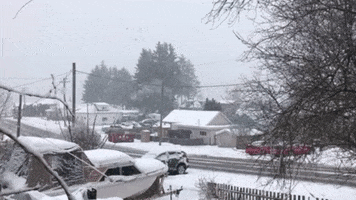 Winter GIF