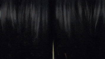 GIF by Paul Trillo