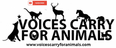 Animaladvocatesradio Voicescarryforanimals GIF