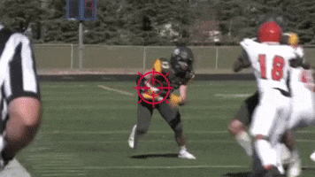 DordtFootball GIF