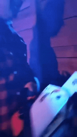 Halloween GIF by info-lux