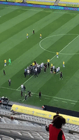 Felipe Melo GIF by SE Palmeiras - Find & Share on GIPHY