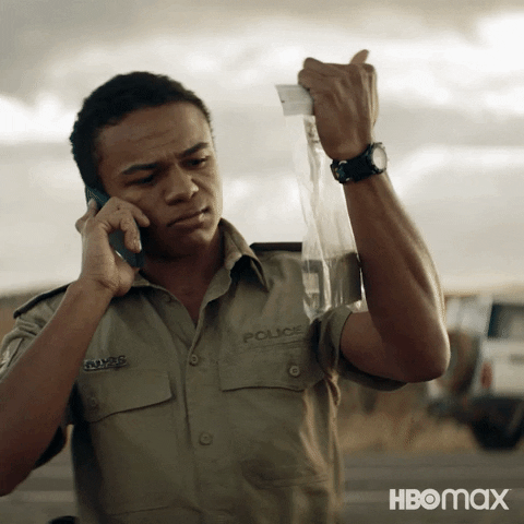 Inspecting The Tourist GIF by HBO Max