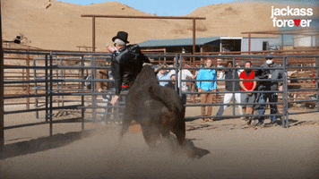 Slow Motion Bull GIF by Jackass Forever
