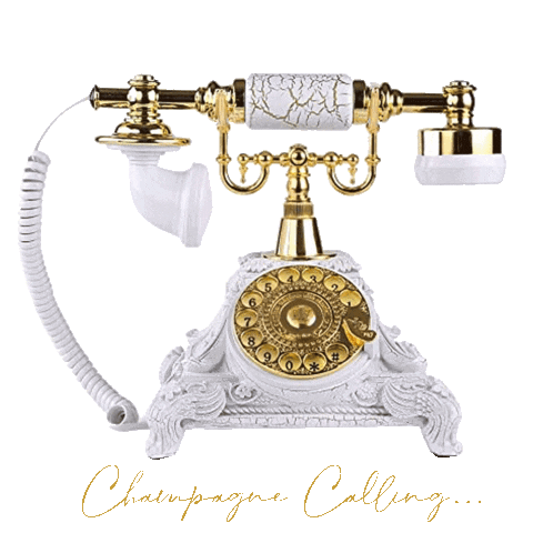 Champagne Studio Sticker