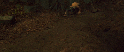 Oh No Omg GIF by LAIKA Studios