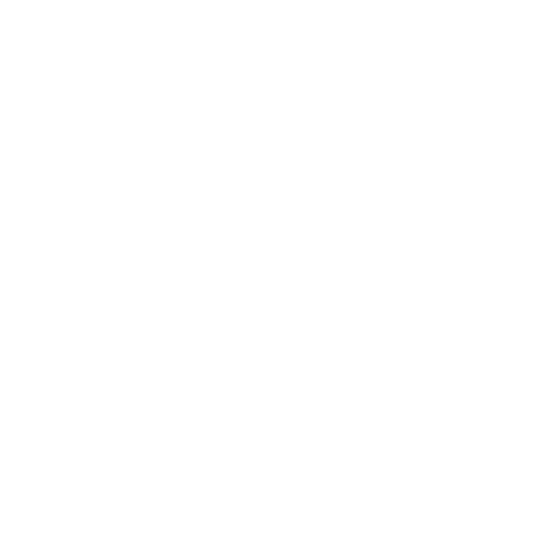 Baccha Festival Sticker