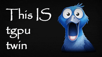 Shoebill Stork Instagram GIF