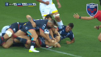 Sport Yes GIF by FCG Rugby