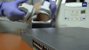 NTS Netzwerk Telekom Services AG GIF