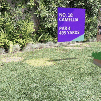 200.gif?cid=fc005b08a106e7e40748130707e02038583006270b26625f&rid=200.gif&ct=g