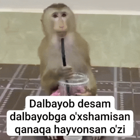Monkey GIF