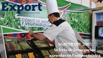 DataExport data export GIF