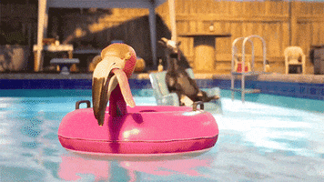 Chilling Goat Simulator GIF by Xbox