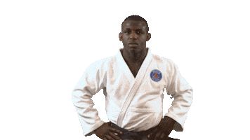 Martial Arts Fun Sticker by Paris Saint-Germain Judo