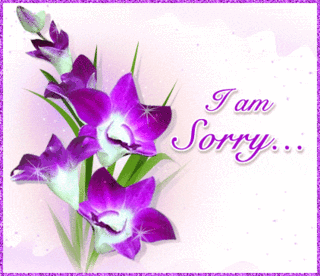 apology