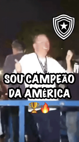 Libertadores GIF