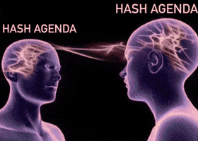Fog Hash GIF